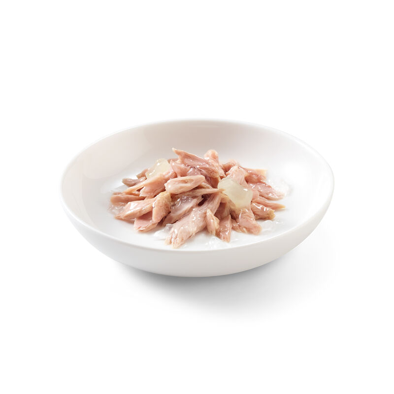 Schesir Cat Kitten Tonnetto con Aloe 85 gr