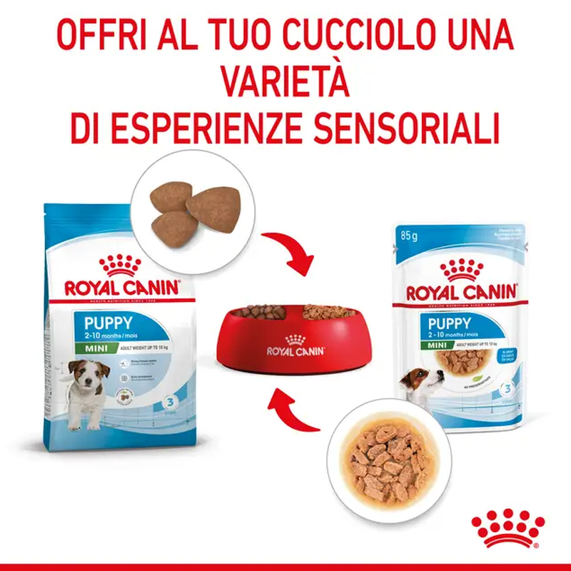 Royal Canin Dog Mini Puppy 85 gr