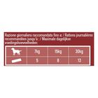 Adventuros Snack Dog High Meat Filetti con Manzo 70gr