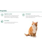 Oasy Superior Formula Cat Mature & Senior Sterilized al Pollo 1,5 kg