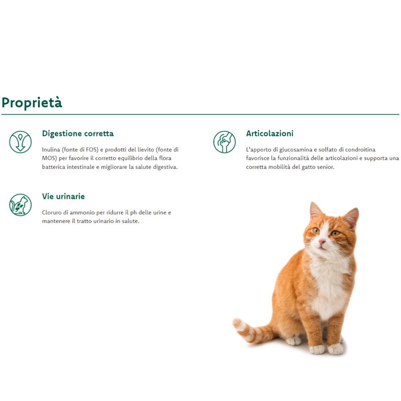 Oasy Superior Formula Cat Mature & Senior Sterilized al Pollo 1,5 kg