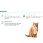 Oasy Superior Formula Cat Adult al Pollo 1,5 kg