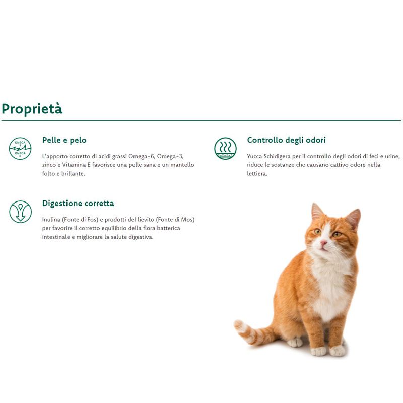 Oasy Superior Formula Cat Adult al Pollo 1,5 kg