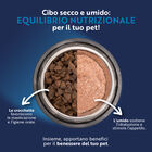 Monopro Dog Adult Medium&Large Grain Free Anatra 12 kg