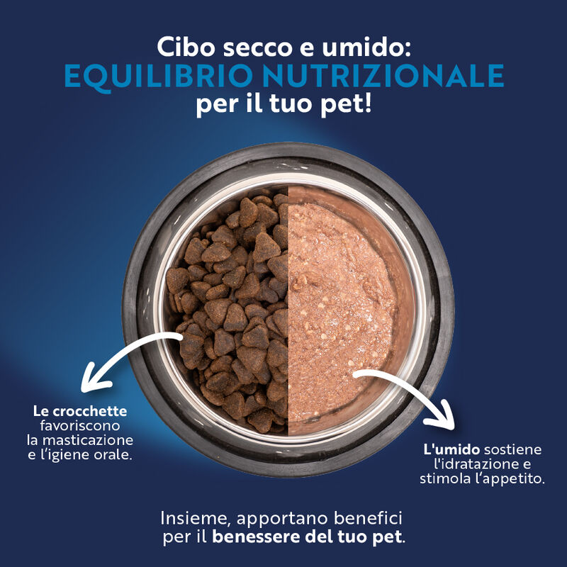 Monopro Dog Adult Medium&Large Grain Free Anatra 12 kg