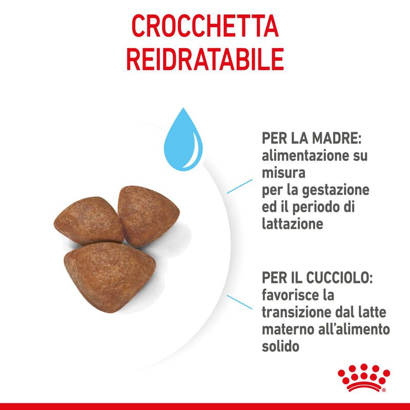 Royal Canin Dog Mini Starter 1 kg