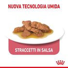 Royal Canin Cat Adult Indoor Gravy 85gr