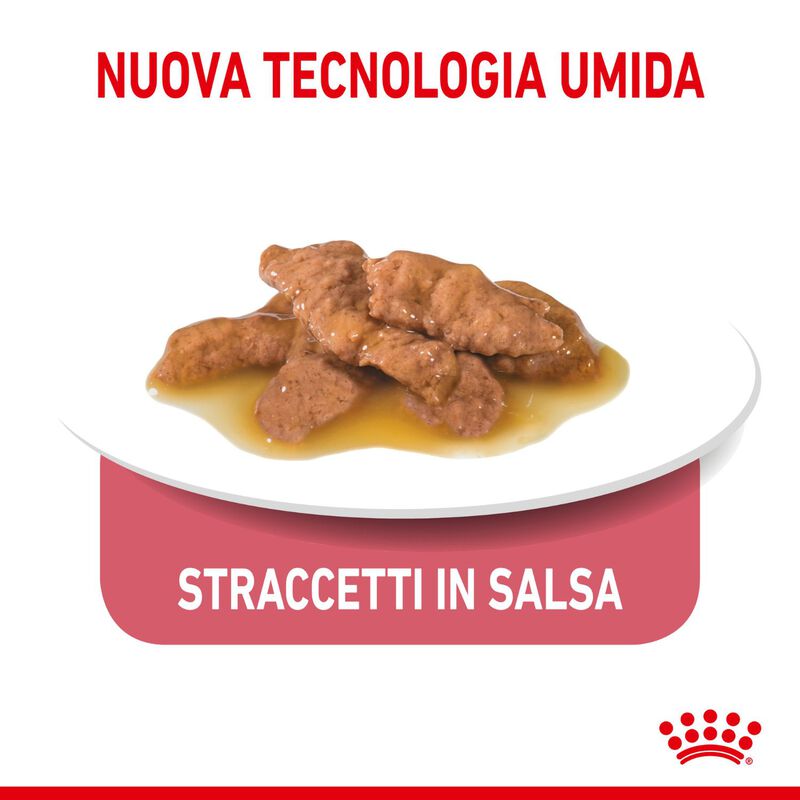Royal Canin Cat Adult Indoor Gravy 85gr