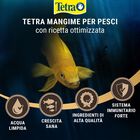 TetraPRO Colour 100 ml