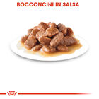 Royal Canin Cat Adult Instinctive Gravy 85gr