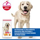Hill's Science Plan Dog Adult Light Large Breed al Pollo 14 kg