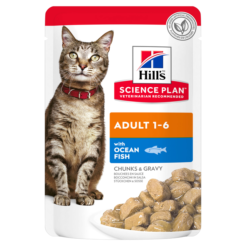 Hill's Science Plan Cat Adult con Pesce Oceanico Bustina 85 gr