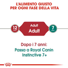 Royal Canin Cat Adult Instinctive Gravy 85 gr