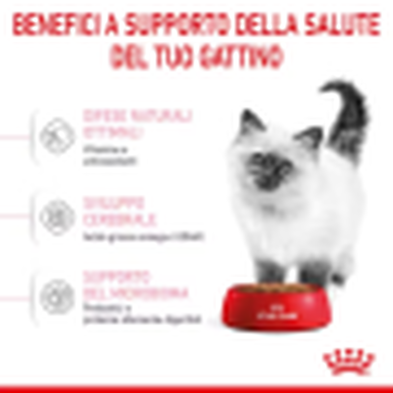 Royal Canin Cat Kitten 400 gr