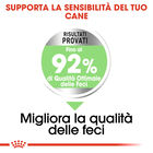 Royal Canin Dog Mini Adult e Senior Digestive Care 3 kg