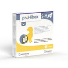 Prohibex Dog Small&Medium per la funzionalità intestinale 6 pz