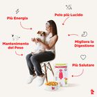 Real Bowl Alimento umido per cani adulti di taglia piccola Tacchino 150 gr
