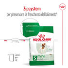 Royal Canin Dog Mini Adult 8 kg + 1kg Omaggio