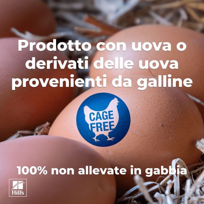 Hill's Prescription Diet Alimento umido per cani con Pollo 85 gr