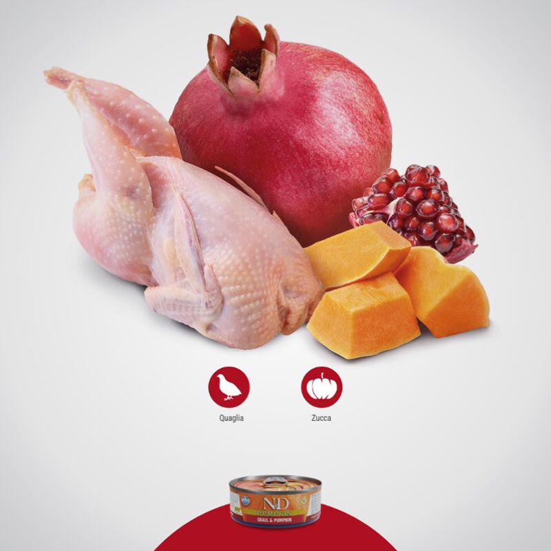 Farmina N&D Pumpkin Cat  Quaglia e Zucca 70 gr