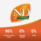 Farmina N&D Pumpkin Cat Neutered Quaglia e Melograno 300 gr
