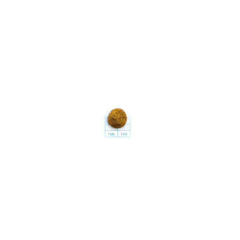 Forza 10 Mono Diet Dog Medium Adult Cervo con Patate 1,5 kg
