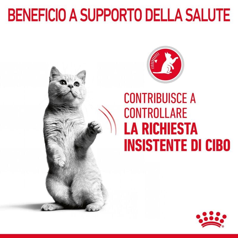 Royal Canin Cat Adult Appetite Control Care 400 gr