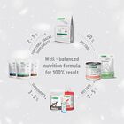 Nature's Protection Superior Care Cat Sterilized Tonno 70 gr