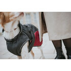 Hunter Impermeabile per cani Uppsala Cozy nero e rosso tg. 30