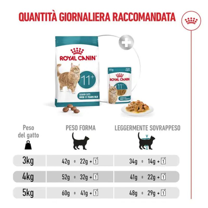 Royal Canin Cat Senior Ageing +11 anni 400 gr