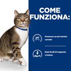 Hill's Prescription Diet Cat s/d con Pollo 1,5 kg
