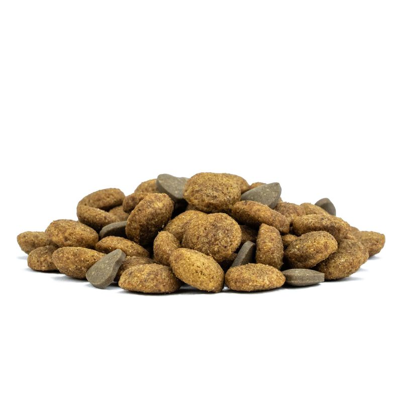 Forza 10 Active Vet Diet Urinary per gatti adulti al Pesce 1,5 kg