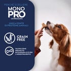 Monopro Dog Adult All breeds Snack Tacchino 100 gr