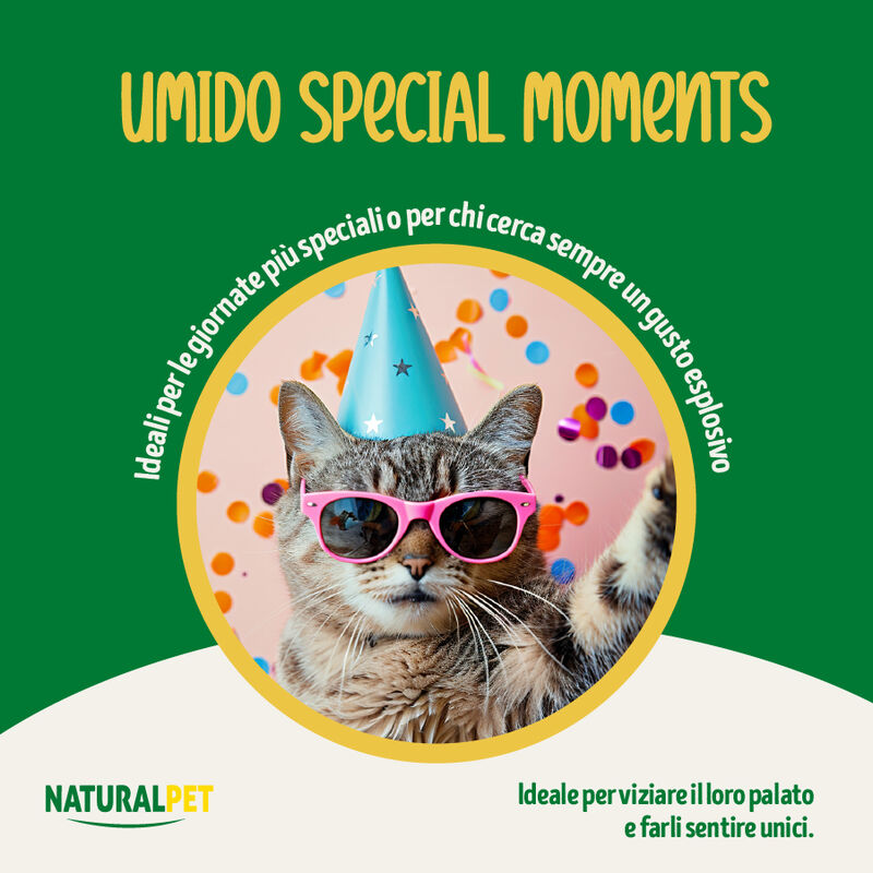 Naturalpet Cat I rag&ugrave; Pollo con cubetti di arrosto di maiale 85gr