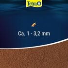 Tetra Discus Granules 100 ml