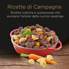 Cesar Dog Ricette di Campagna con Manzo Pasta e Carote 150 gr