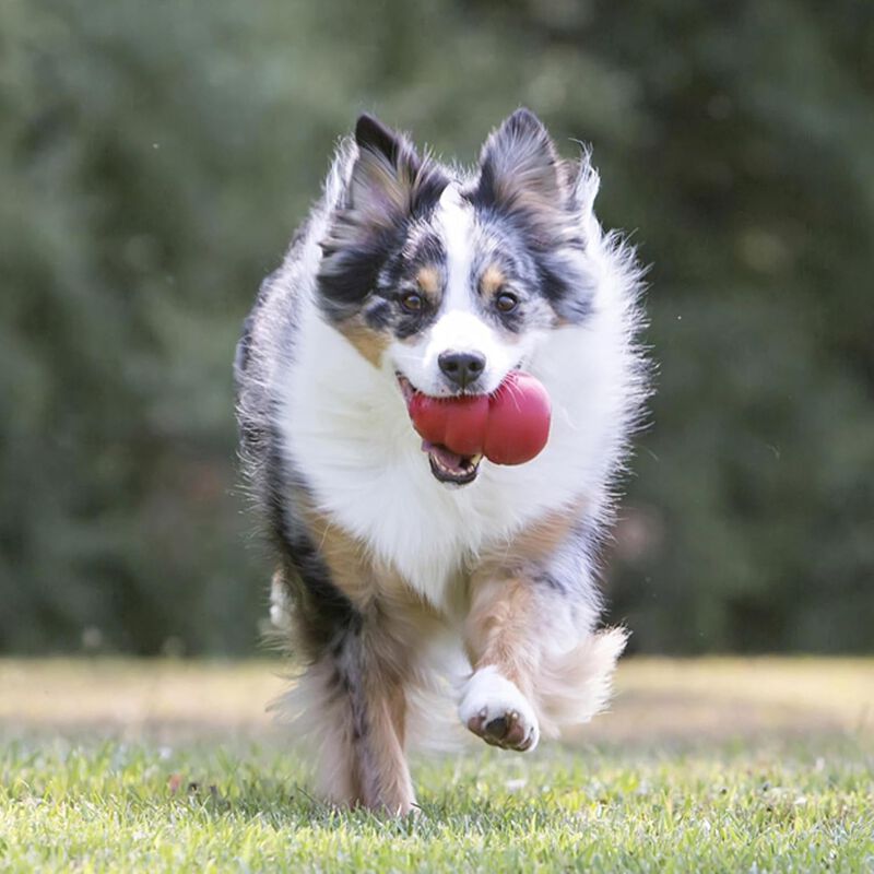Kong Classic Gioco da mordere per cani XS Rosso
