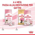Royal Canin Cat Adult e Kitten Mother and Babycat 2 kg