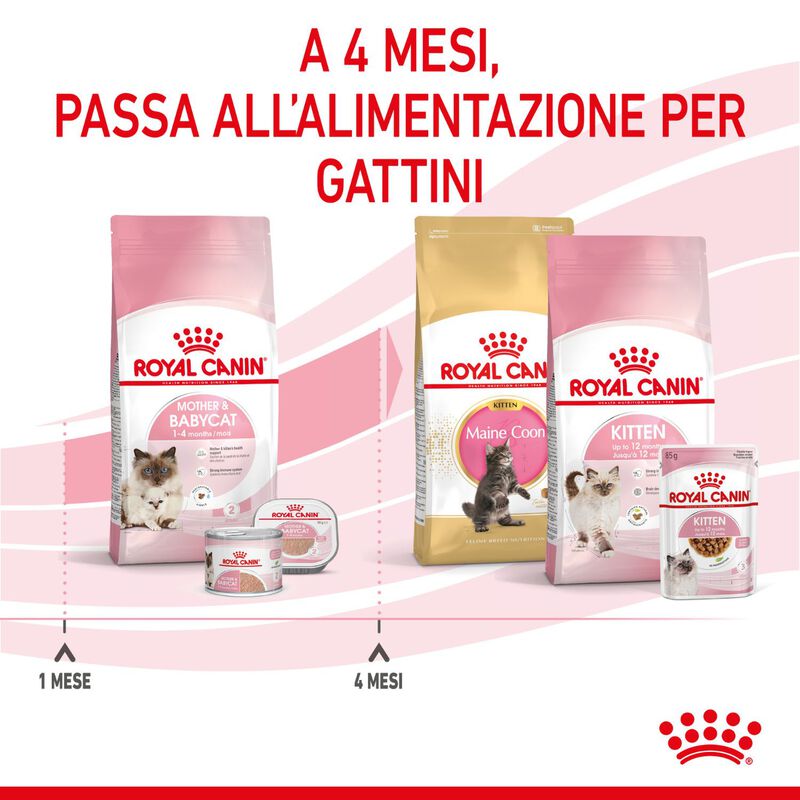 Royal Canin Cat Adult e Kitten Mother and Babycat 2 kg