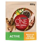 Purina One Dog Mini Active con Pollo e Riso 800 gr