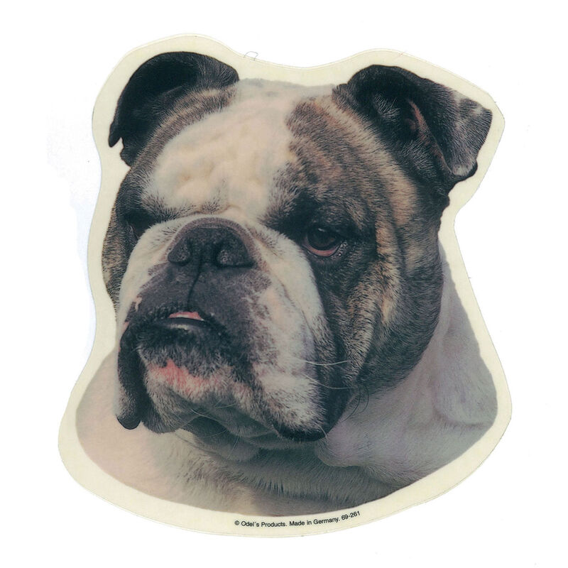 Camon Vetrofanie Bulldog Inglese