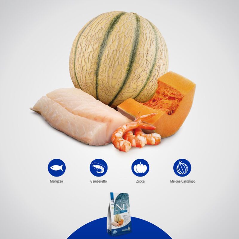 Farmina N&D Ocean Cat Kitten Merluzzo, Gamberetto, Zucca e Melone cantalupo 1,5 kg