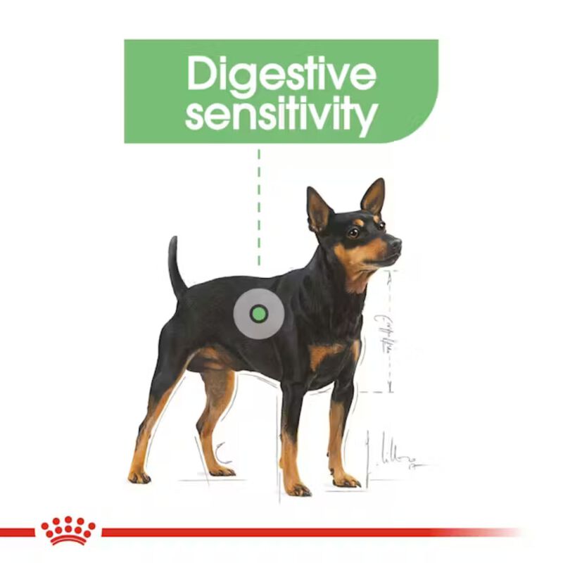 Royal Canin Dog Adult Digestive Care 85 gr