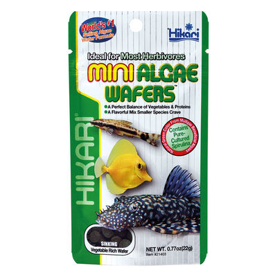 Hikari Tropical Mini Algae Wafers 22 gr