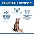 Hill's Science Plan Mousse per gatti adulti con Salmone 85 gr