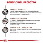 Royal Canin Veterinary Diet Dog Puppy Gastrointestinal 195 gr