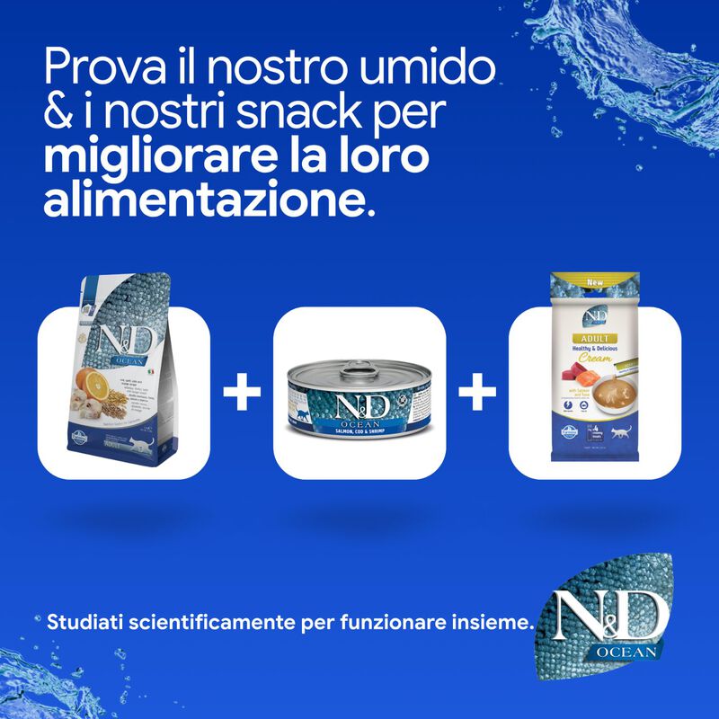 N&D Farmina Ocean Cat Adult Merluzzo, Farro, Avena & Arancia 300 gr