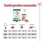 Royal Canin Dog Mini Adult +8, 8kg Royal Canin Dog Mini Adult +8, 8kg