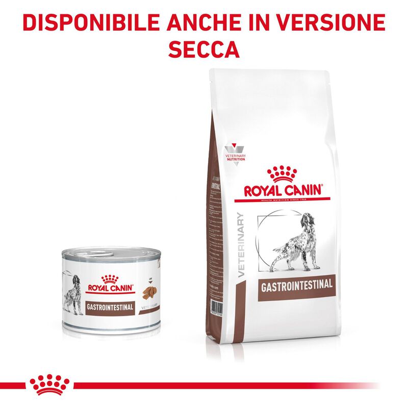 Royal Canin Veterinary Diet Dog Adult Gastrointestinal 200 gr