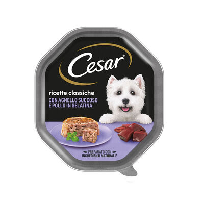 Cesar Dog Ricette Classiche con Agnello Succoso e Pollo in Gelatina 150 gr